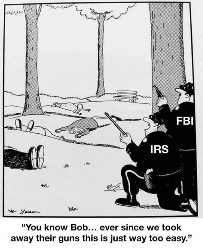 FBI irs.jpg